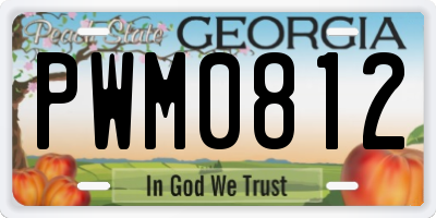 GA license plate PWM0812