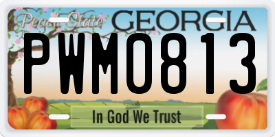 GA license plate PWM0813