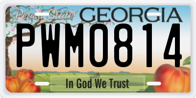 GA license plate PWM0814