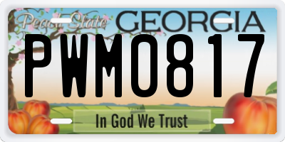 GA license plate PWM0817