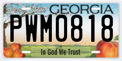GA license plate PWM0818
