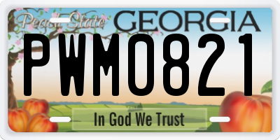 GA license plate PWM0821