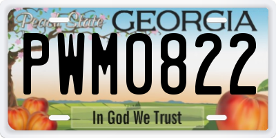 GA license plate PWM0822