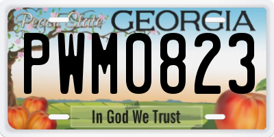 GA license plate PWM0823