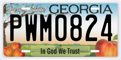 GA license plate PWM0824