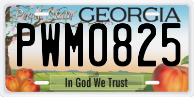 GA license plate PWM0825