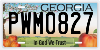 GA license plate PWM0827