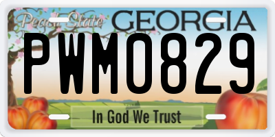 GA license plate PWM0829