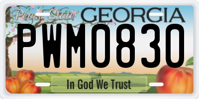 GA license plate PWM0830