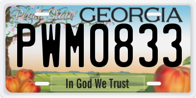 GA license plate PWM0833
