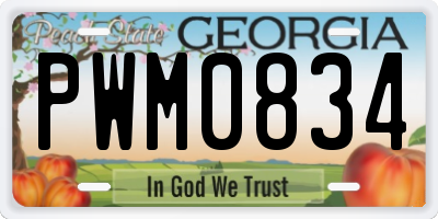 GA license plate PWM0834