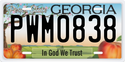 GA license plate PWM0838