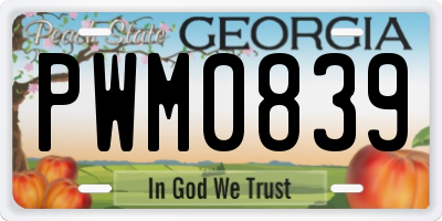 GA license plate PWM0839