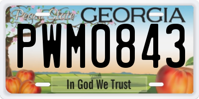 GA license plate PWM0843