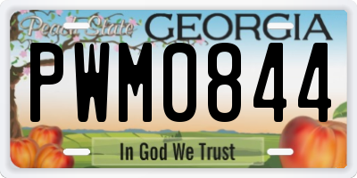 GA license plate PWM0844