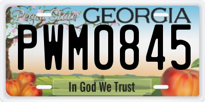 GA license plate PWM0845