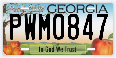 GA license plate PWM0847