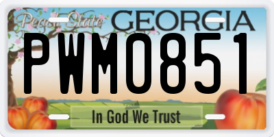 GA license plate PWM0851