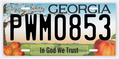 GA license plate PWM0853