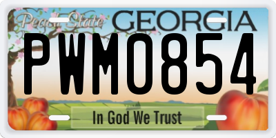 GA license plate PWM0854