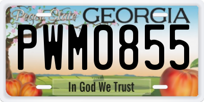 GA license plate PWM0855