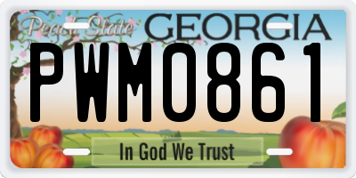 GA license plate PWM0861