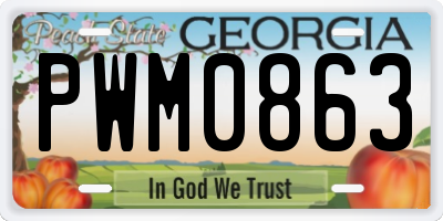 GA license plate PWM0863