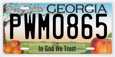 GA license plate PWM0865