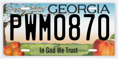 GA license plate PWM0870