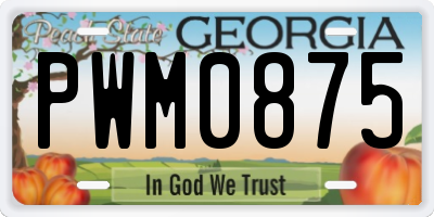 GA license plate PWM0875