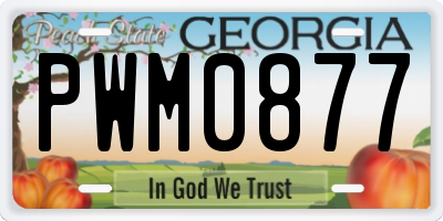 GA license plate PWM0877
