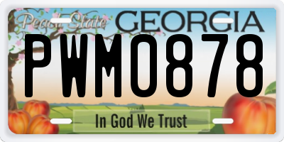 GA license plate PWM0878