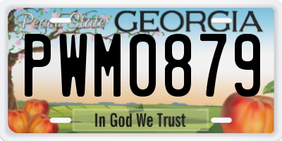 GA license plate PWM0879