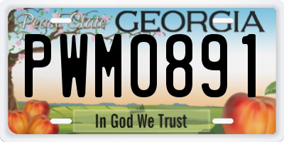 GA license plate PWM0891