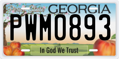 GA license plate PWM0893