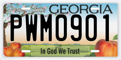 GA license plate PWM0901
