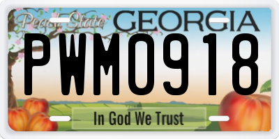 GA license plate PWM0918