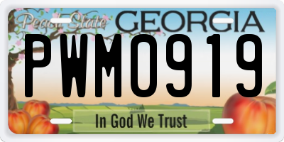 GA license plate PWM0919