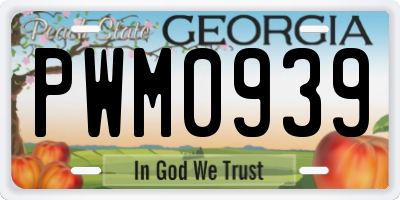 GA license plate PWM0939