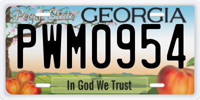 GA license plate PWM0954
