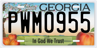 GA license plate PWM0955