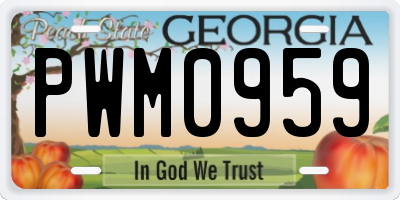 GA license plate PWM0959