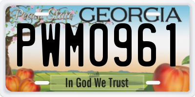 GA license plate PWM0961