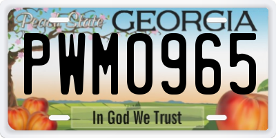 GA license plate PWM0965