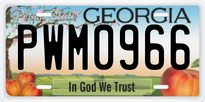 GA license plate PWM0966