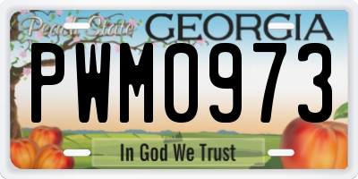 GA license plate PWM0973