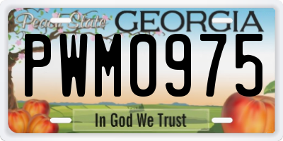 GA license plate PWM0975