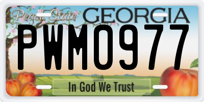 GA license plate PWM0977