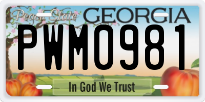 GA license plate PWM0981