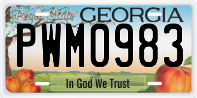 GA license plate PWM0983